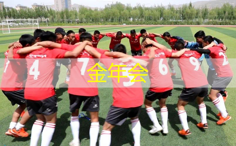 全回弹网球拍怎么选型号