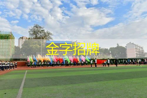网球拍双反握把怎么选好