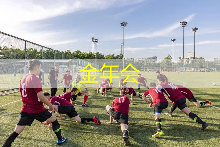 迪卡侬网球拍选择哪款