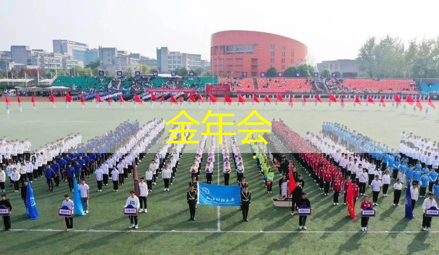 网球拍进阶拍和专业拍