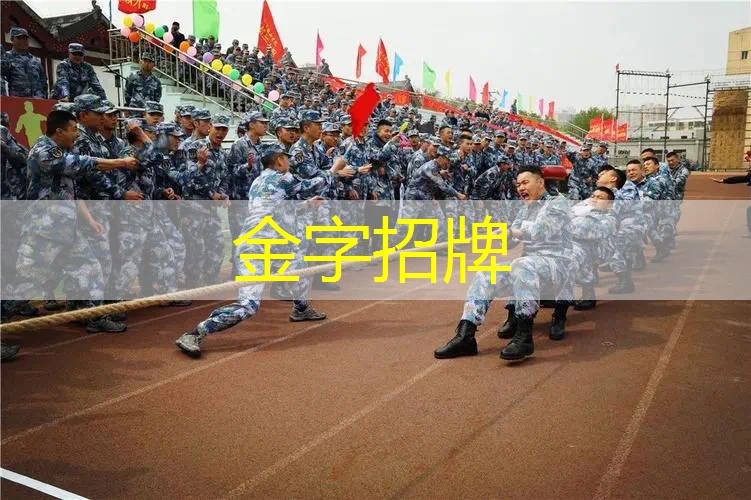 百元内性价比高的网球拍